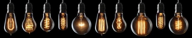 Different shapes and sizes of the edison light bulb