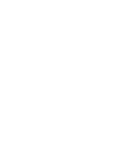 Icon Shield 1