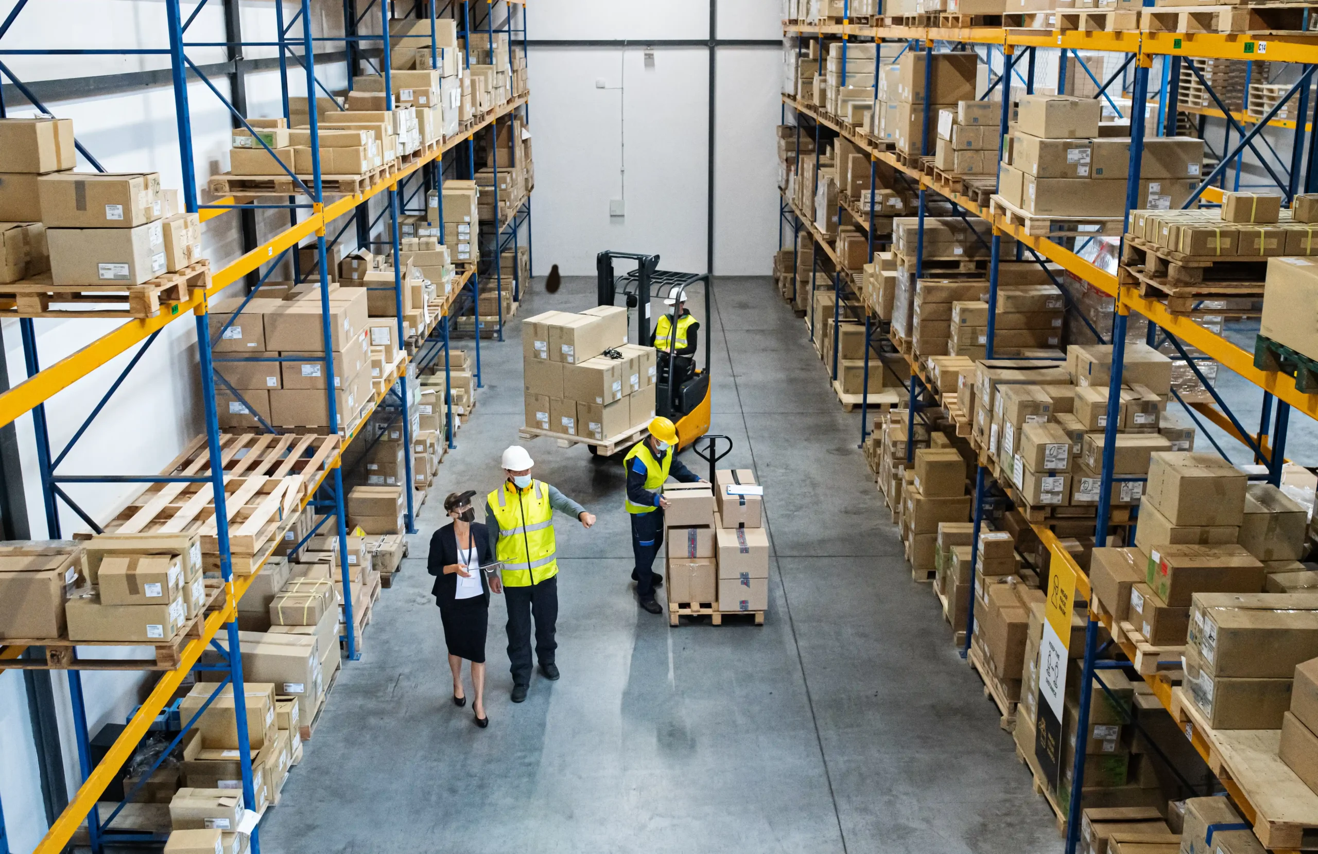 Logistics staff managing pallets and forklifts in a warehouse storage zone designed for efficient movement and storage.